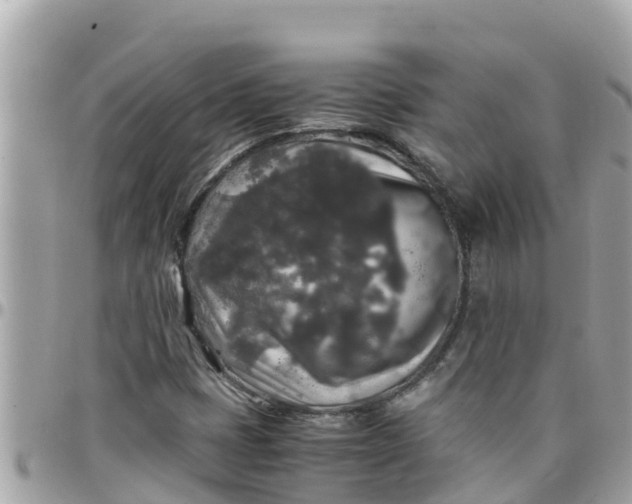 X0000097761401200803211704