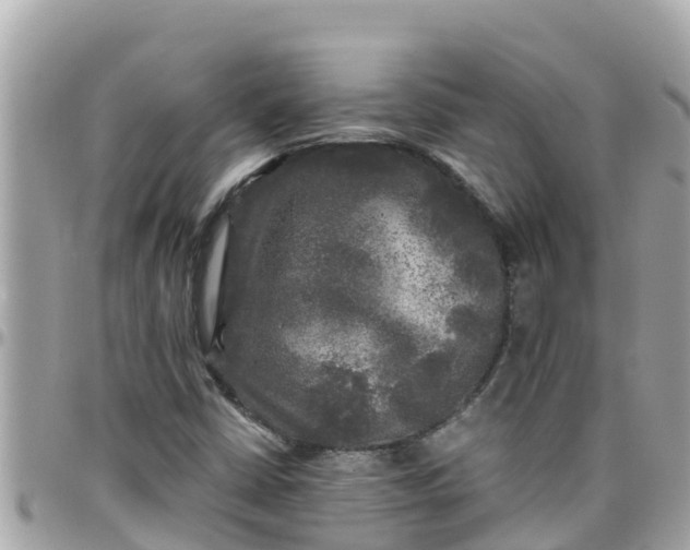 X0000097761402200803211704