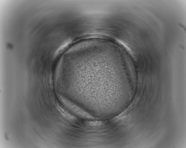 X0000097761403200803211704