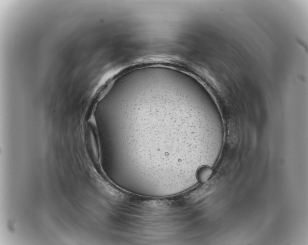 X0000097761404200803211704