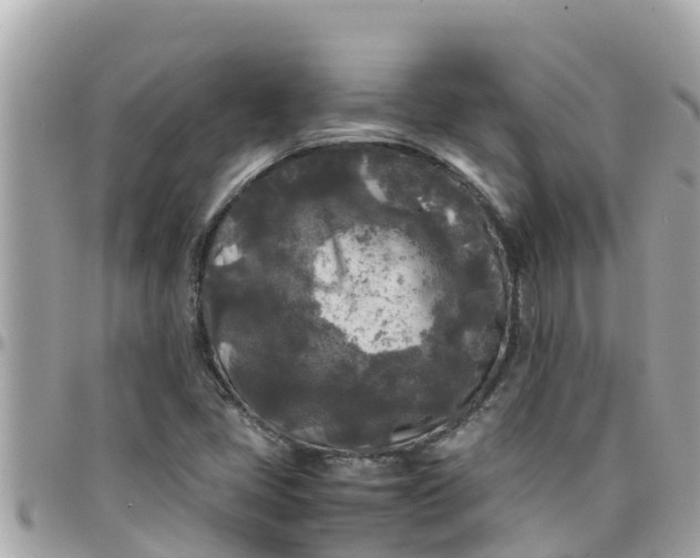 X0000097761405200803211704