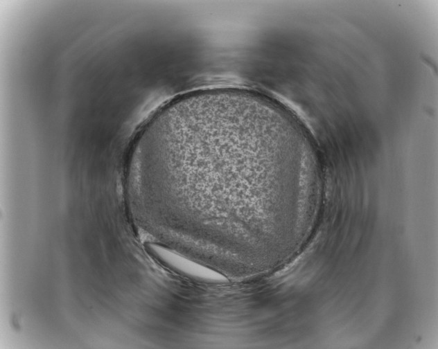 X0000097761407200803211704