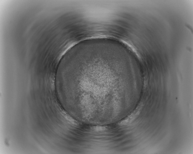 X0000097761409200803211704