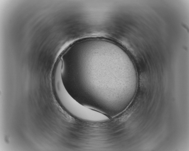 X0000097761412200803211704