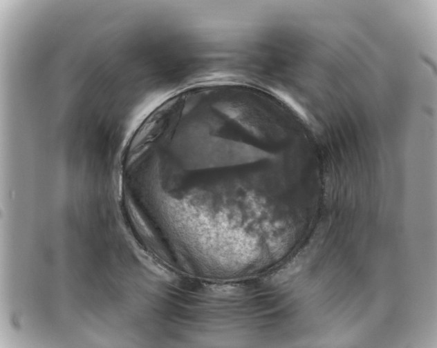 X0000097761413200803211704