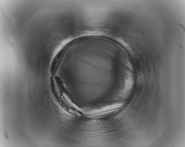 X0000097761414200803211704