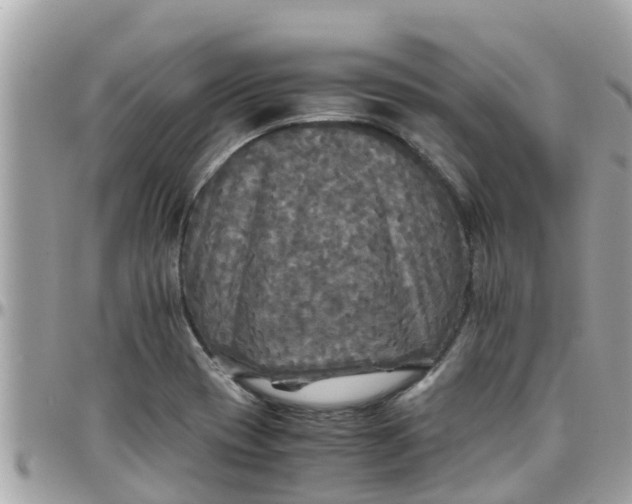 X0000097761417200803211704