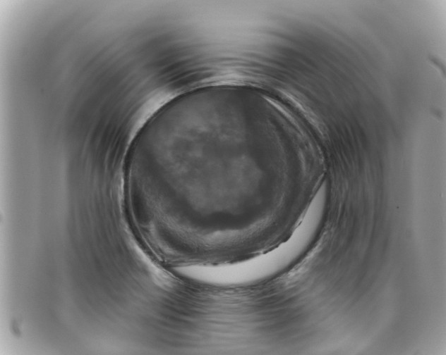 X0000097761418200803211704