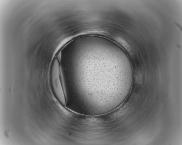 X0000097761420200803211704