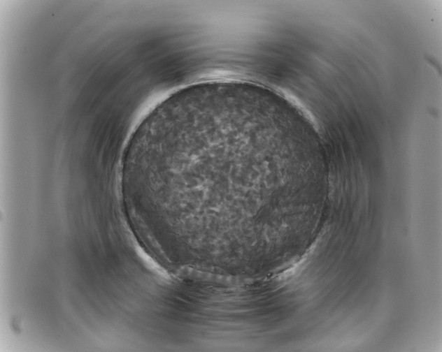 X0000097761421200803211704