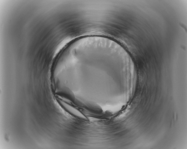 X0000097761422200803211704