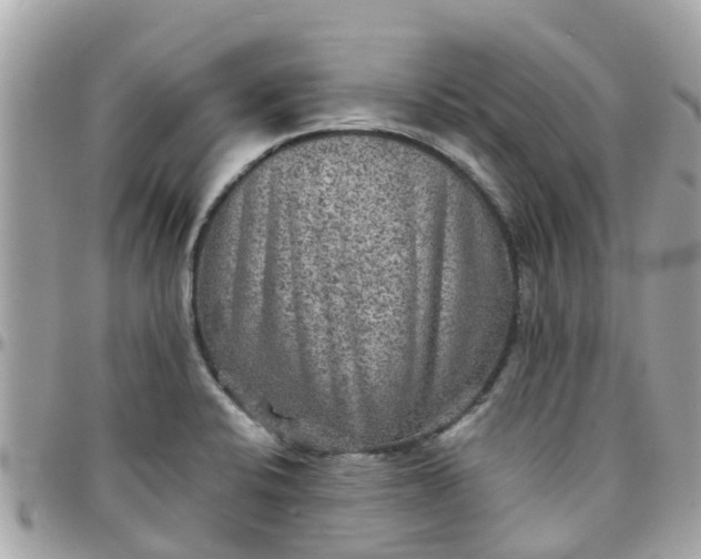 X0000097761424200803211704