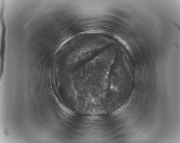 X0000097761425200803211704