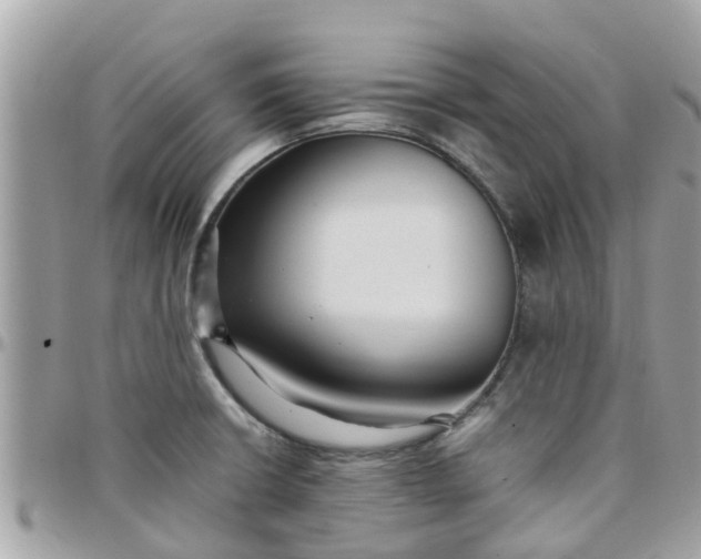 X0000097761426200803211704