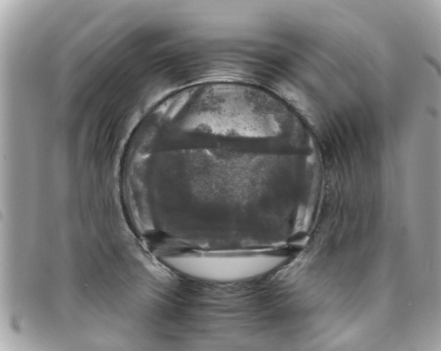 X0000097761427200803211704