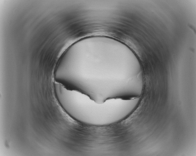 X0000097761428200803211704