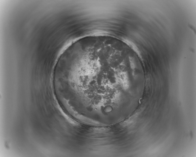 X0000097761429200803211704