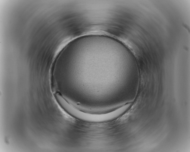 X0000097761430200803211704