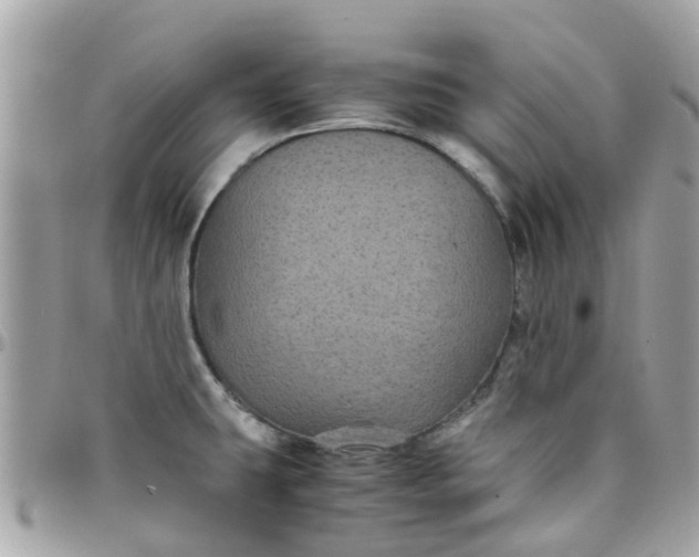 X0000097761431200803211704