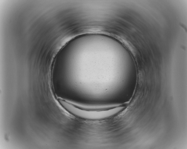 X0000097761432200803211704