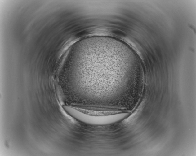 X0000097761433200803211704