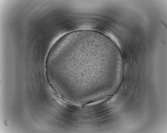 X0000097761435200803211704