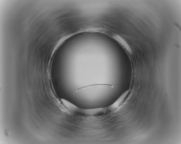 X0000097761436200803211704