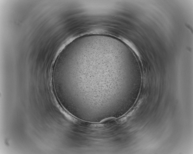 X0000097761437200803211704