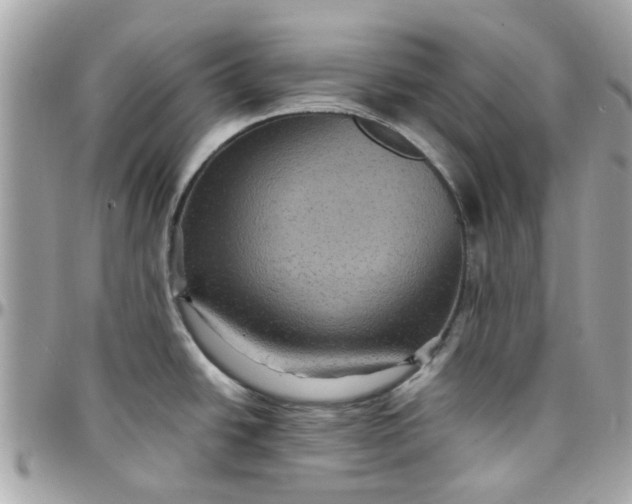 X0000097761438200803211705