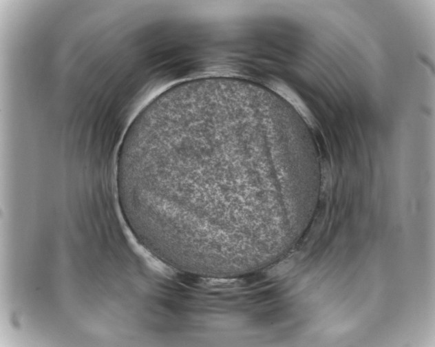 X0000097761439200803211705