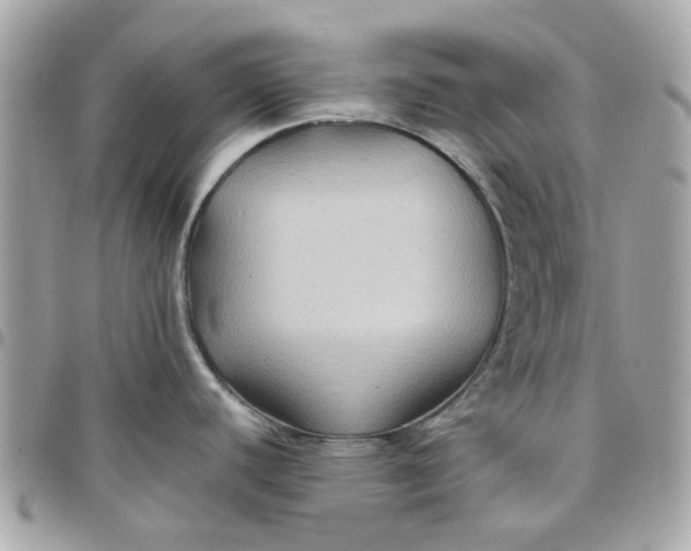 X0000097761440200803211705