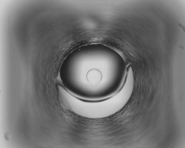 X0000097761441200803211704