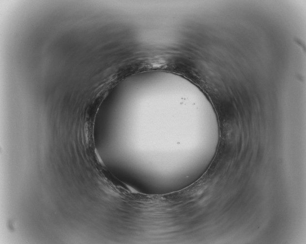 X0000097761442200803211704