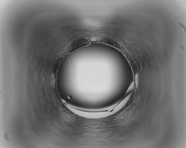 X0000097761443200803211704