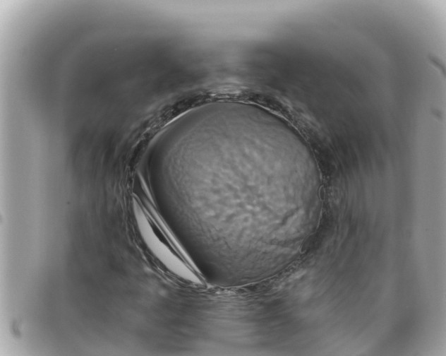 X0000097761445200803211704