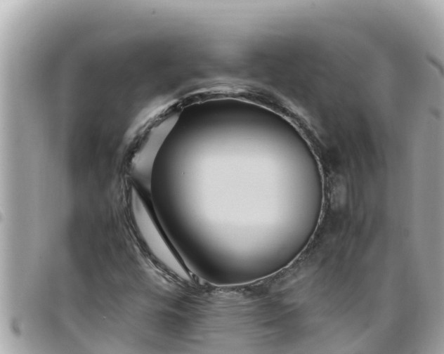 X0000097761448200803211704