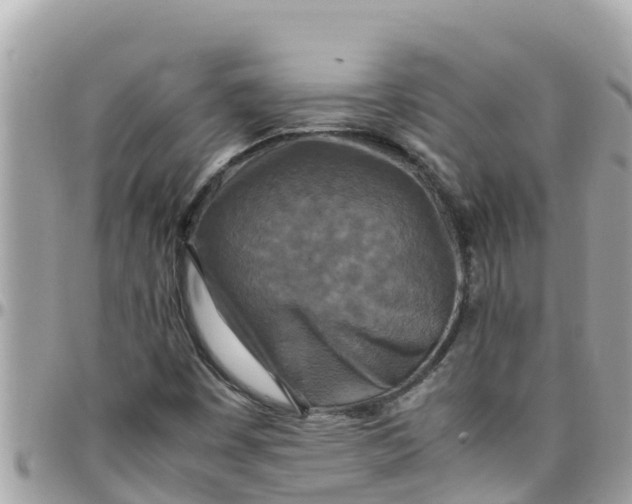 X0000097761449200803211704