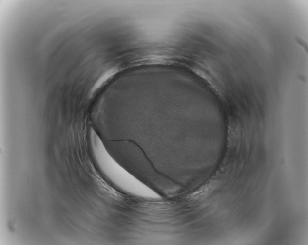 X0000097761450200803211704