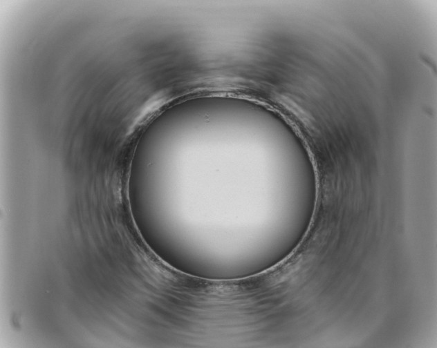 X0000097761451200803211703