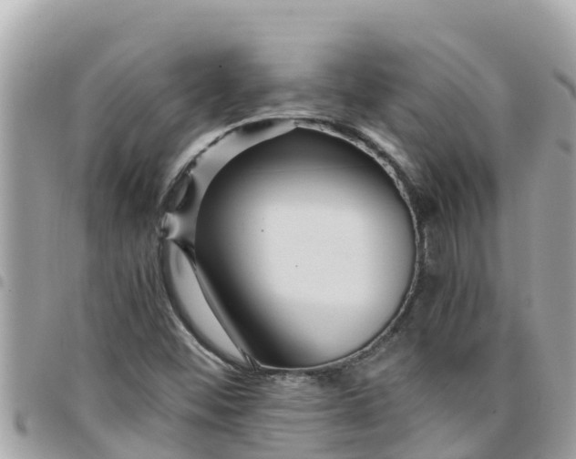 X0000097761452200803211703