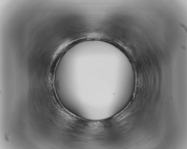 X0000097761454200803211703