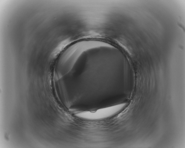 X0000097761455200803211703