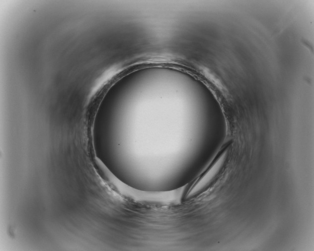 X0000097761456200803211703