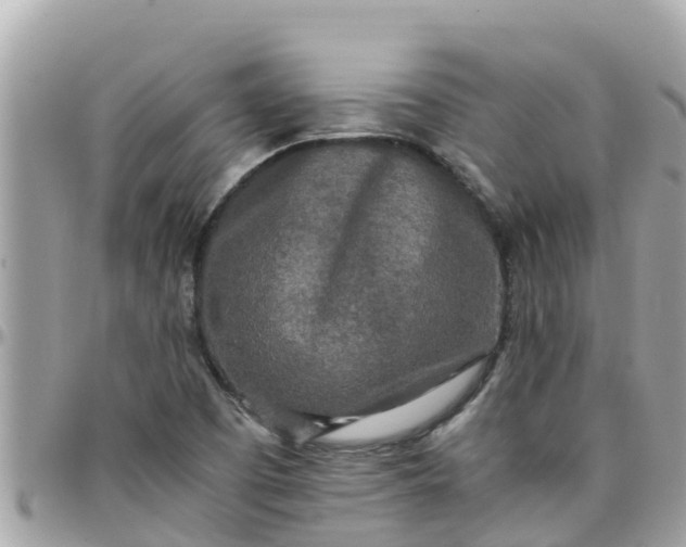 X0000097761457200803211703