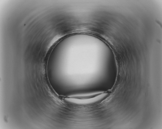 X0000097761458200803211703