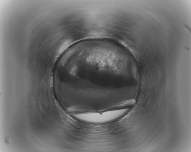 X0000097761459200803211703