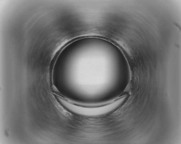 X0000097761460200803211703