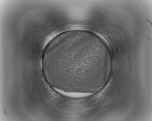 X0000097761461200803211703