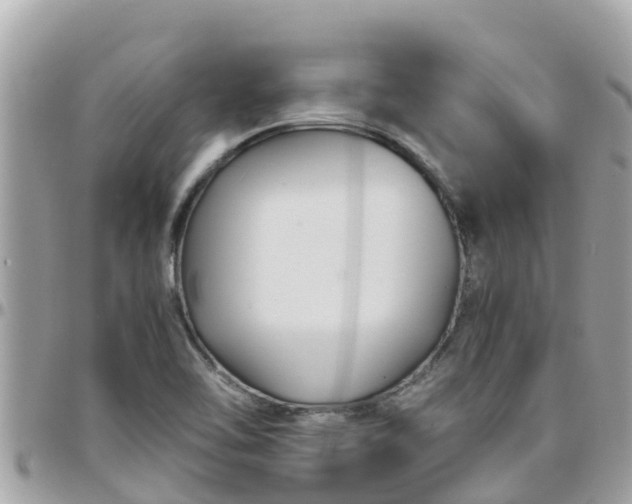 X0000097761462200803211703