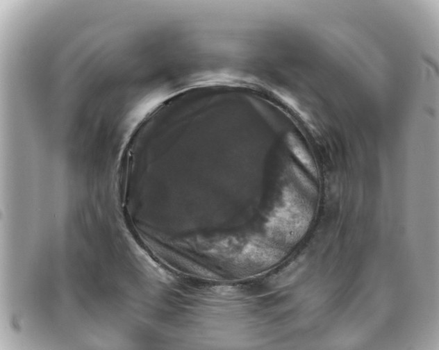 X0000097761463200803211703